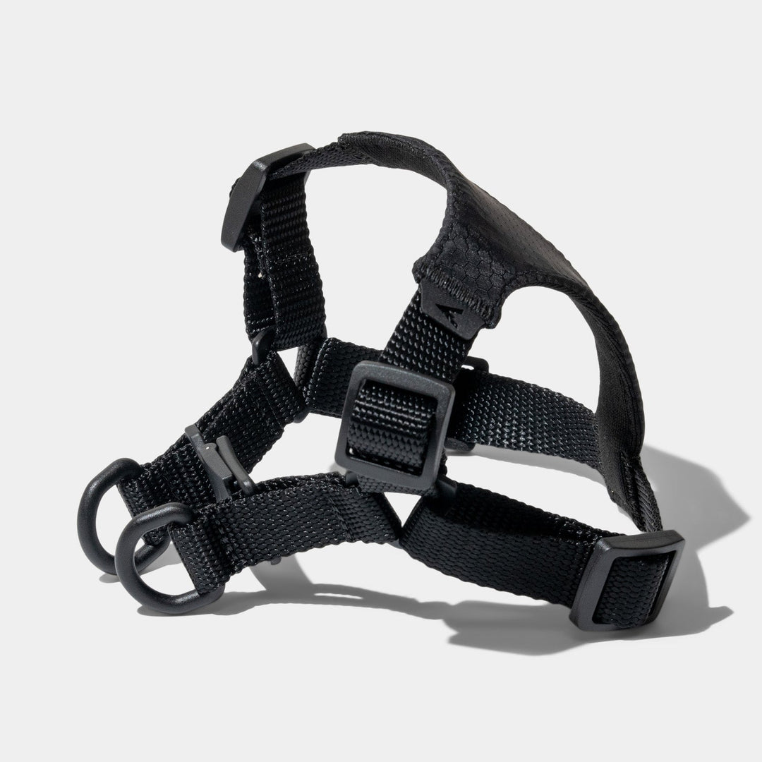 Lifetime Air Harness Active Harness for Smaller Dogs Atlas Pet